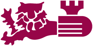 Shepway Stragglers Cricket Club